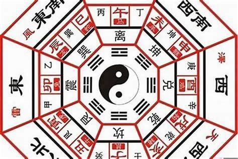 阴金|阴金是什么意思